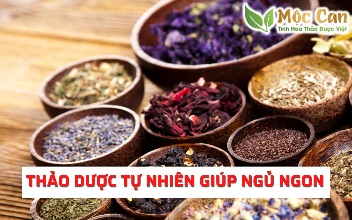 Thảo dược tự nhiên giúp ngủ ngon 2